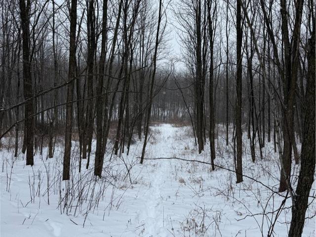 Land for sale in Mansfield, Ohio