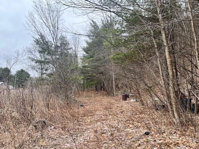 Land for sale in Van Etten, New York
