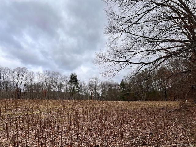 Property for sale in Callicoon, New York
