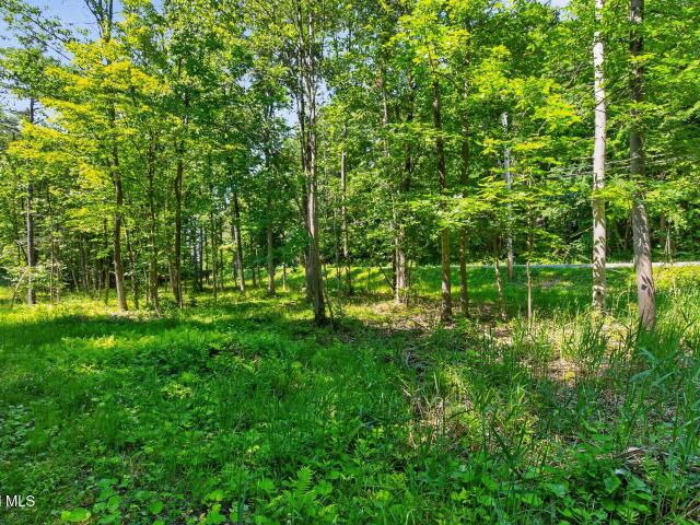 Land for sale in Cleverdale, New York