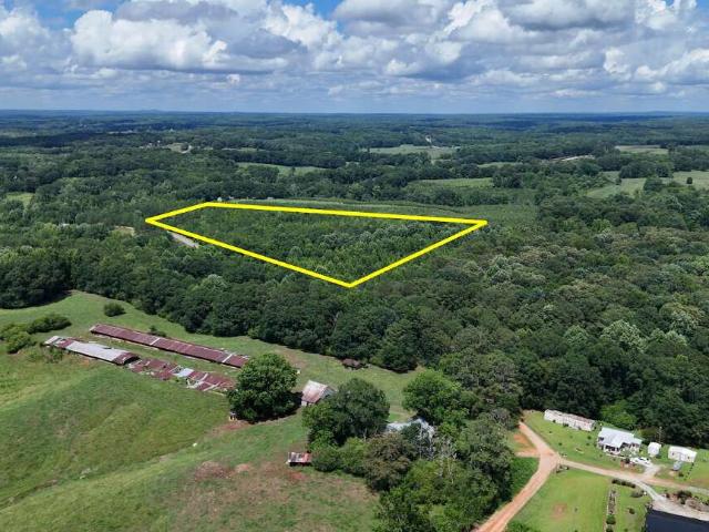 Land for sale in Bowdon, Georgia