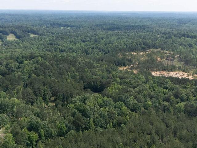 Land for sale in Cottondale