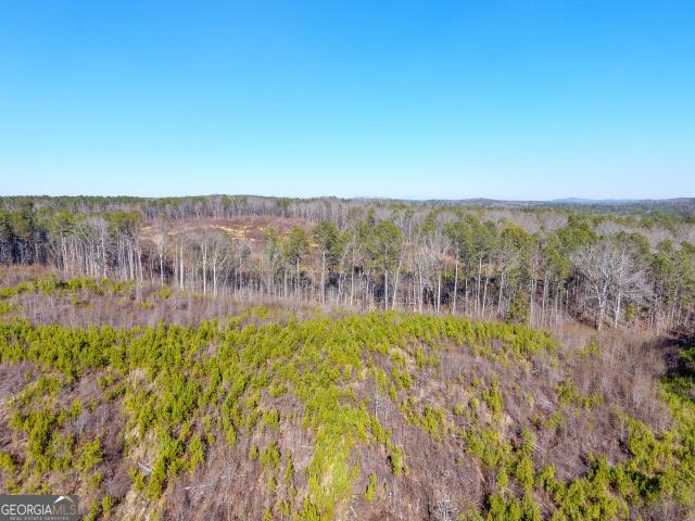 Land for sale in Haralson, Georgia