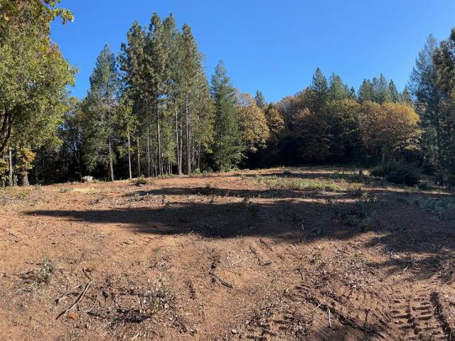 Land for sale in Colfax, California