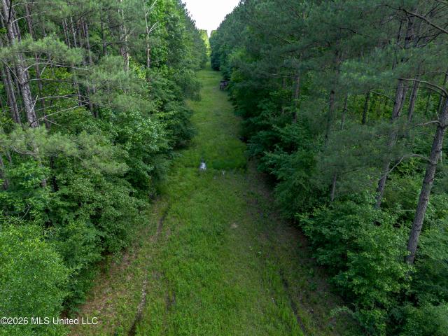 Land for sale in Georgetown, Mississippi