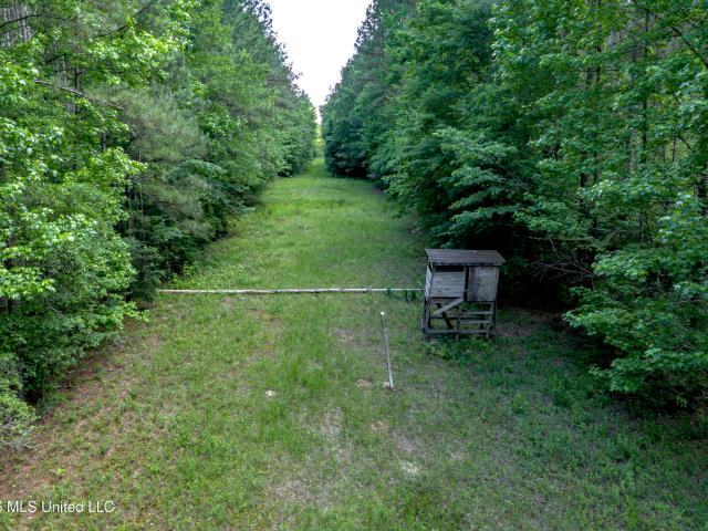 Land for sale in Georgetown, Mississippi