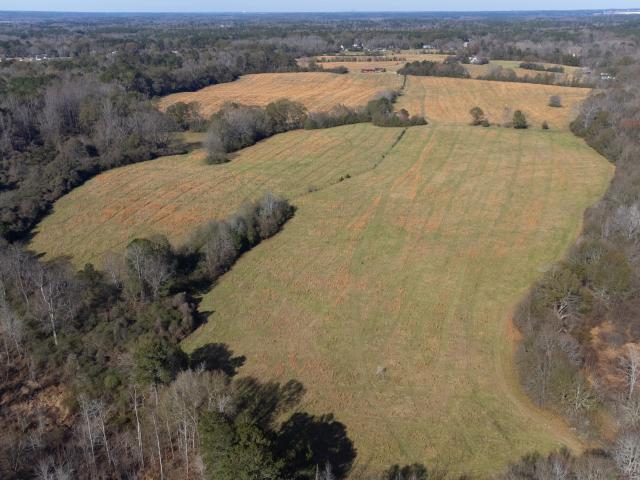 Land for sale in Spalding, Georgia