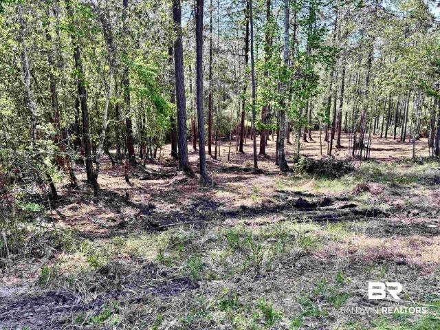 Land for sale in Loxley, Alabama