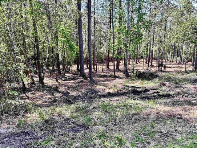 Land for sale in Loxley, Alabama