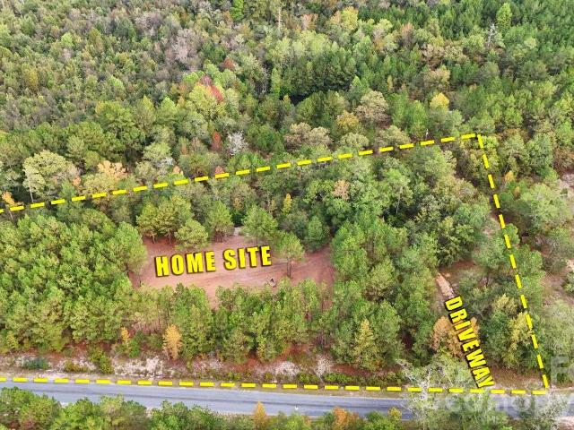 Land for sale in Mount Croghan, South Carolina