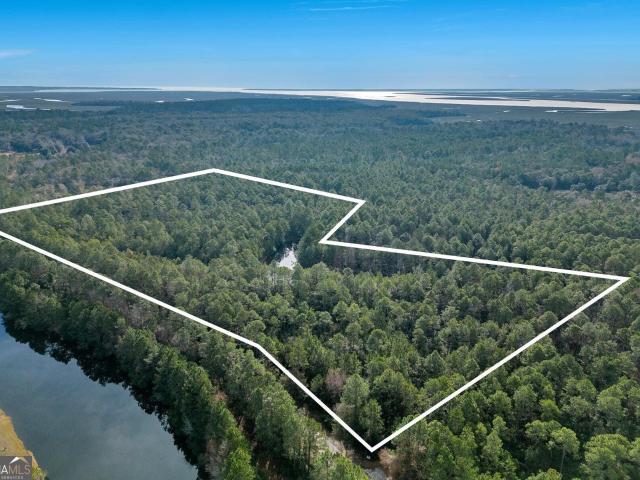 Land for sale in Richmond Hill, Georgia