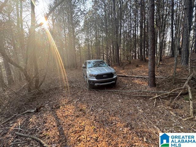 Land for sale in Cordova, Alabama