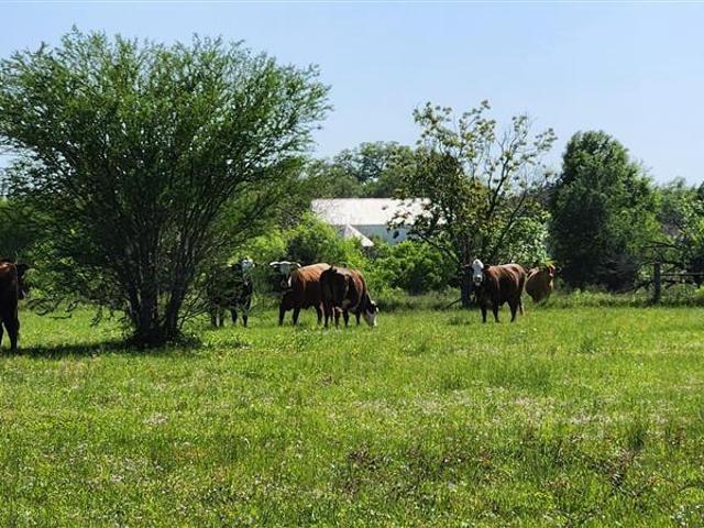 Land for sale in Pattison