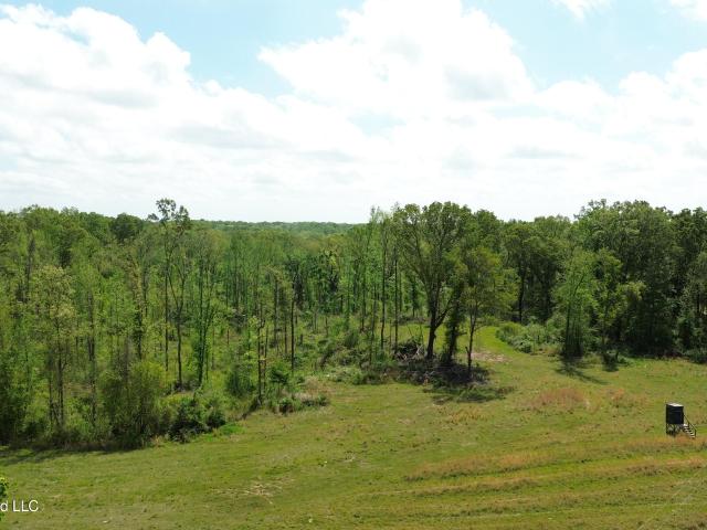 Land for sale in Yazoo City, Mississippi