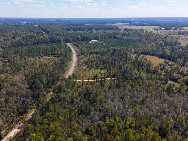 Land for sale in Alma, Georgia