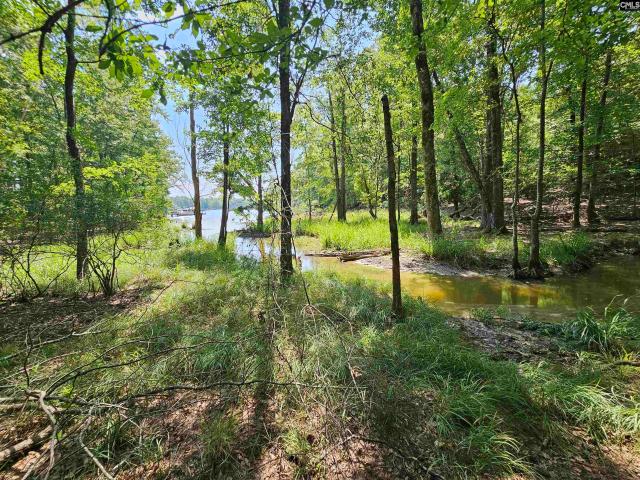 Land for sale in Prosperity, South Carolina