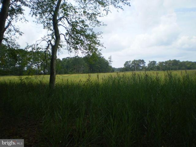 Land for sale in Princess Anne, Maryland