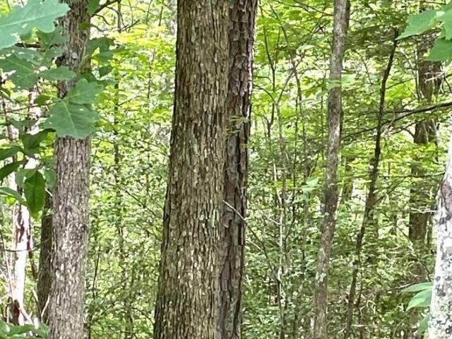 Land for sale in Dunlap, Middle Tennessee