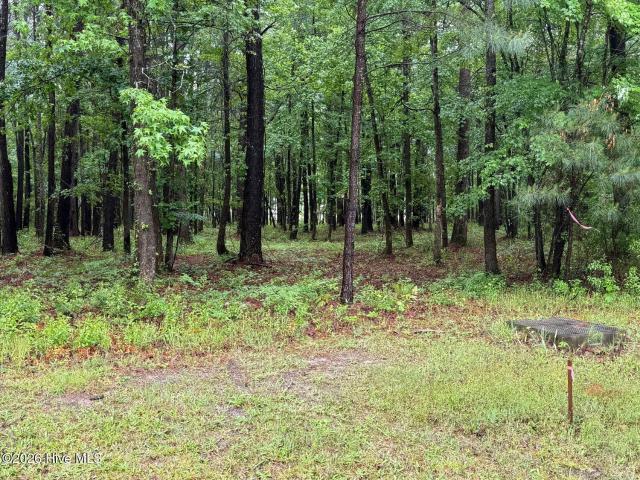 Land for sale in Belhaven, North Carolina