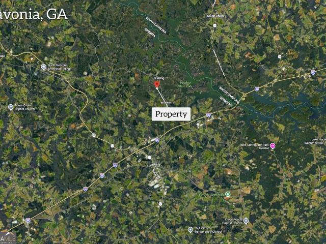 Land for sale in Lavonia, Georgia