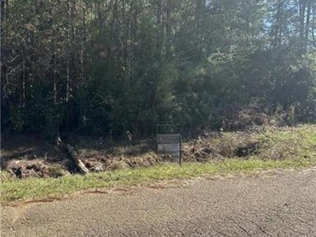 Land for sale in Deridder, Louisiana