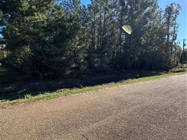 Land for sale in Deridder, Louisiana