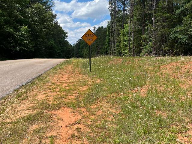 Land for sale in Elbert, Georgia