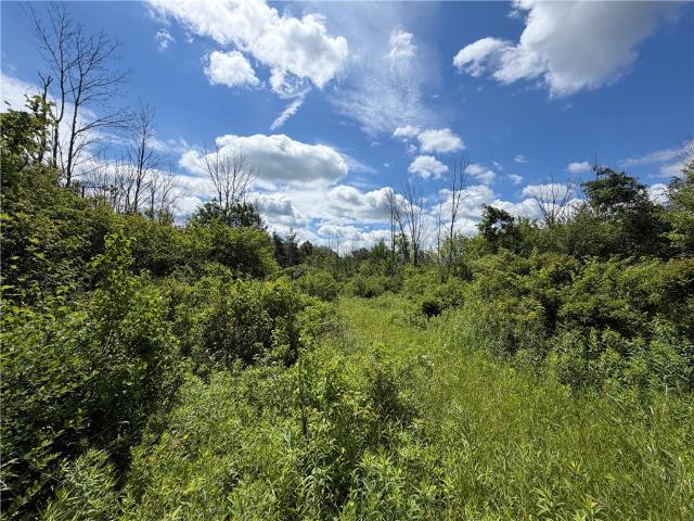Land for sale in Cassadaga, New York