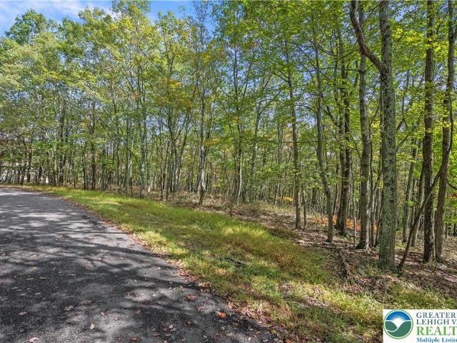 Land for sale in Carbon, Pennsylvania