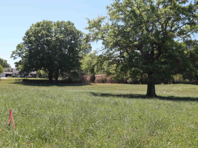 Land for sale in Pauline, South Carolina