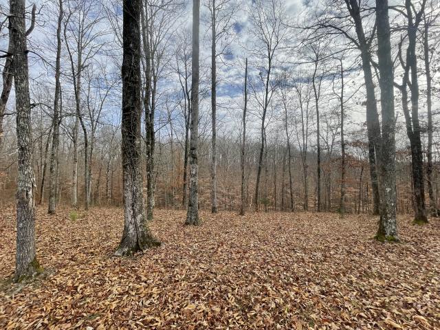 Land for sale in Tennessee