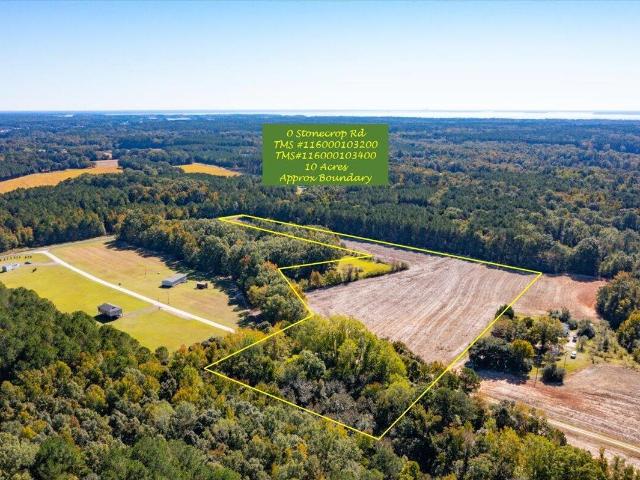 Land for sale in Summerton, Clarendon County