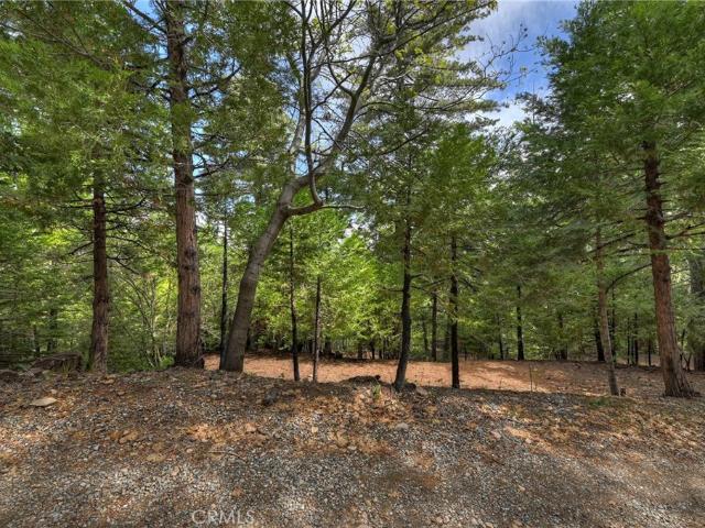 Land for sale in Cedar Glen, California