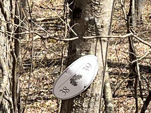Land for sale in Kent, Connecticut