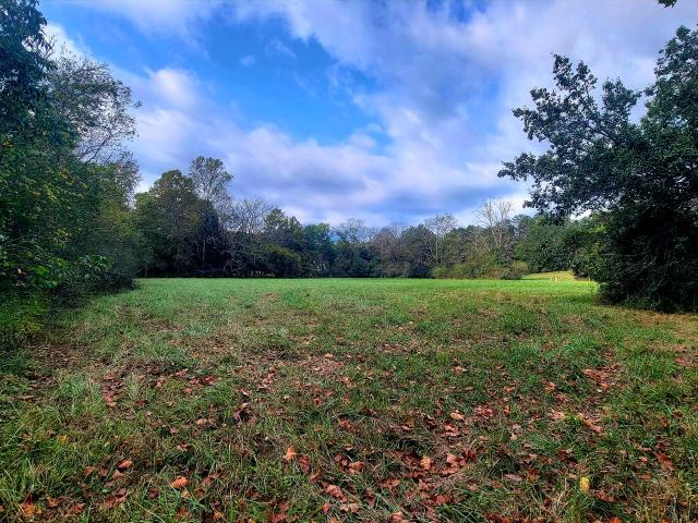 Land for sale in Georgia