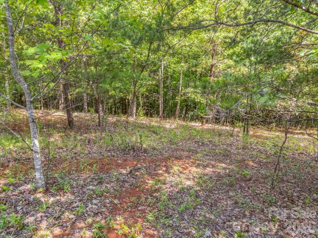 Land for sale in Rutherford, North Carolina