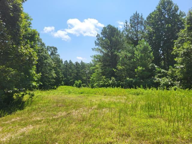 Land for sale in Tennessee