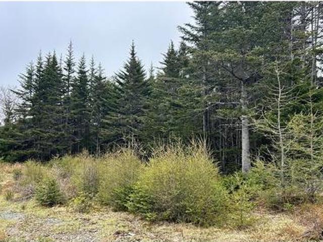 Land for sale in Blaketown, Newfoundland And Labrador