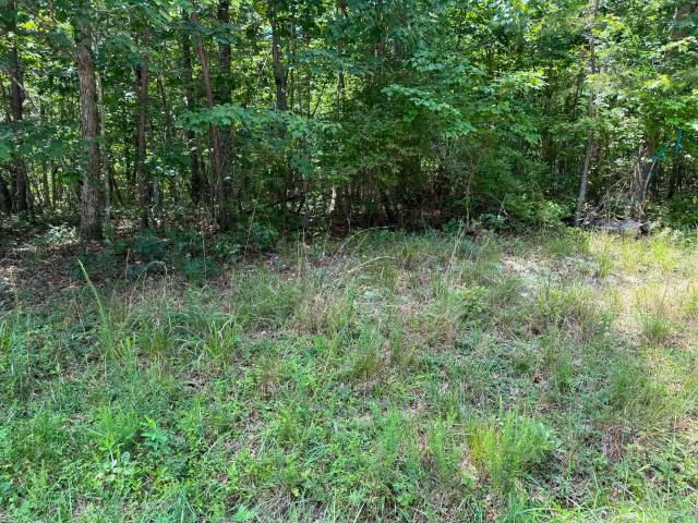 Land for sale in Tennessee
