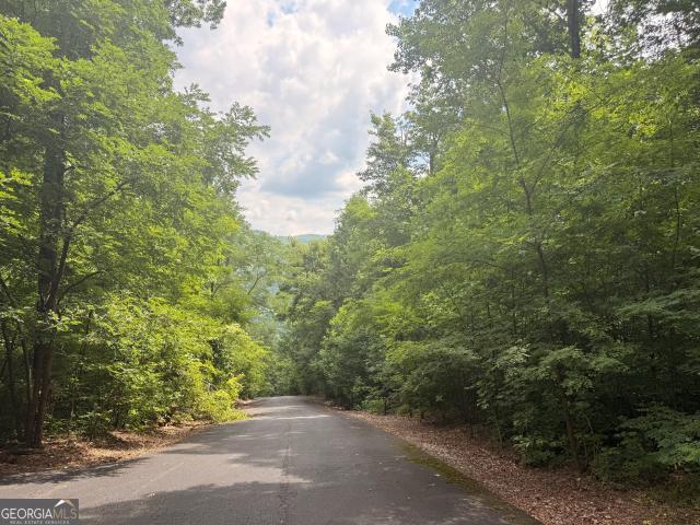 Land for sale in Clayton, Georgia
