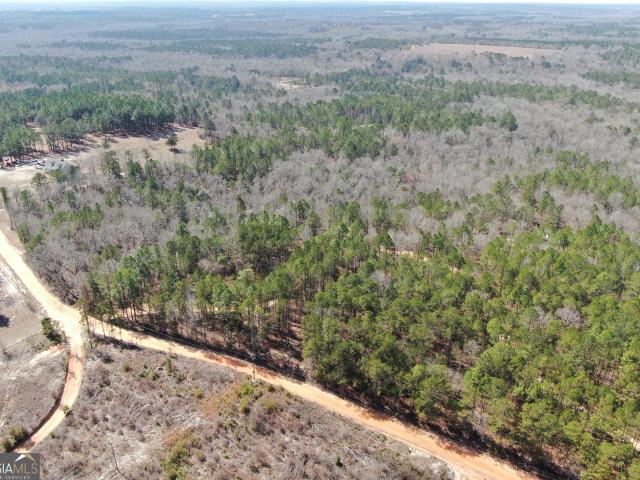Land for sale in Butler, Georgia