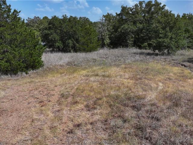 Land for sale in Somerville, Texas