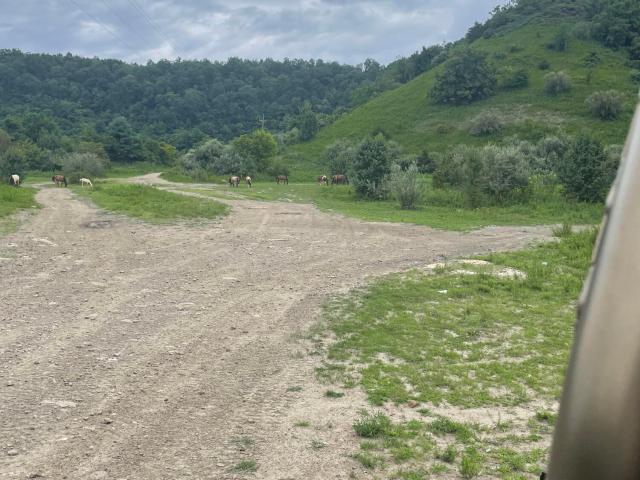 Land for sale in Kentucky