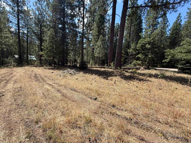 Land for sale in Shasta, California