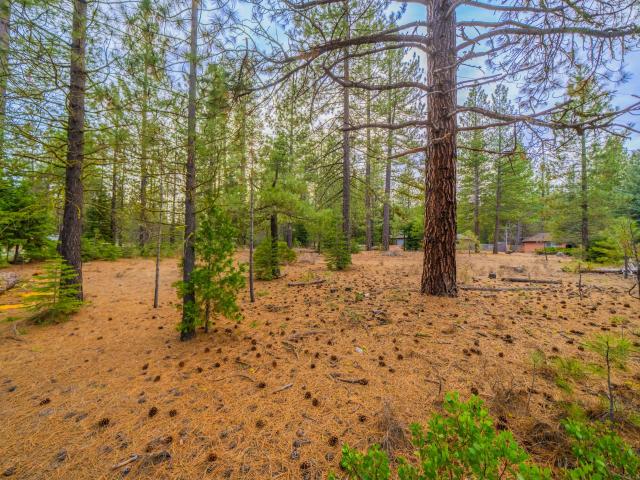 Land for sale in Shasta, California