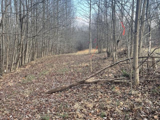 Land for sale in Tennessee