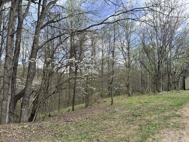 Land for sale in Tennessee