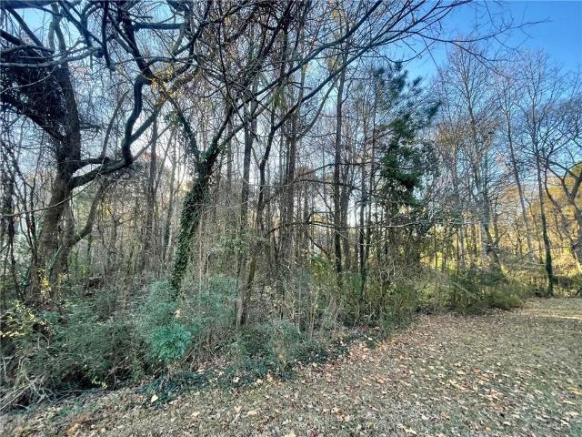 Land for sale in Clayton, Georgia