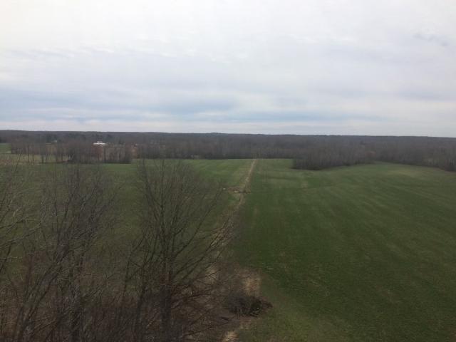 Land for sale in Tennessee