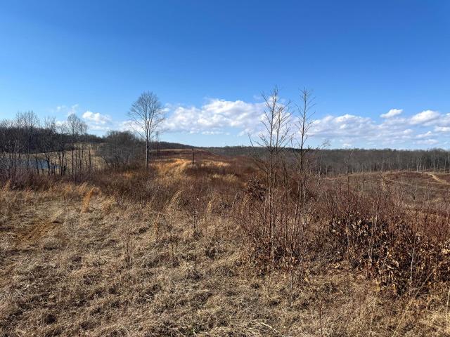 Land for sale in New Lexington, Ohio